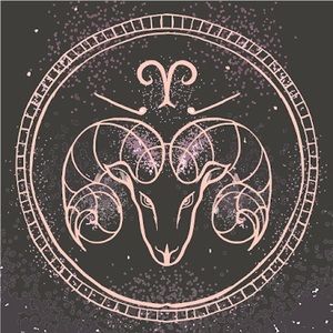 Meet your Posher, Moona